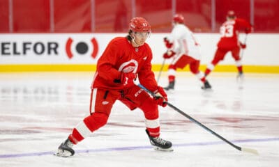 Red Savage, Red Wings prospect