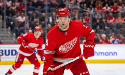 Christian Fischer, Red Wings