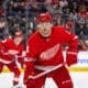 Christian Fischer, Red Wings