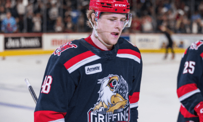 Jonatan Berggren, Red Wings, Griffins