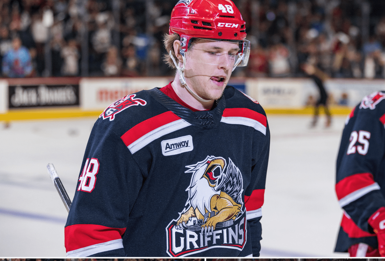 Jonatan Berggren, Red Wings, Griffins