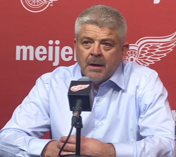 Todd McLellan, Red Wings