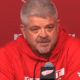 Todd McLellan, Red Wings