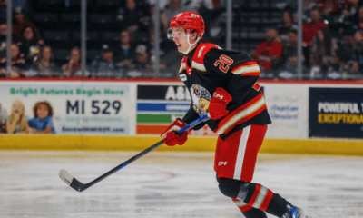 Grand Rapids Griffins, Anton Johansson