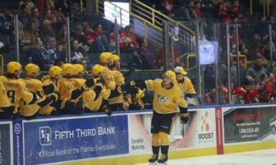 Predators Rookies