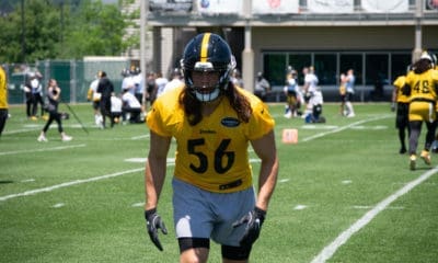 Steelers Anthony Chickillo