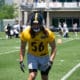 Steelers Anthony Chickillo