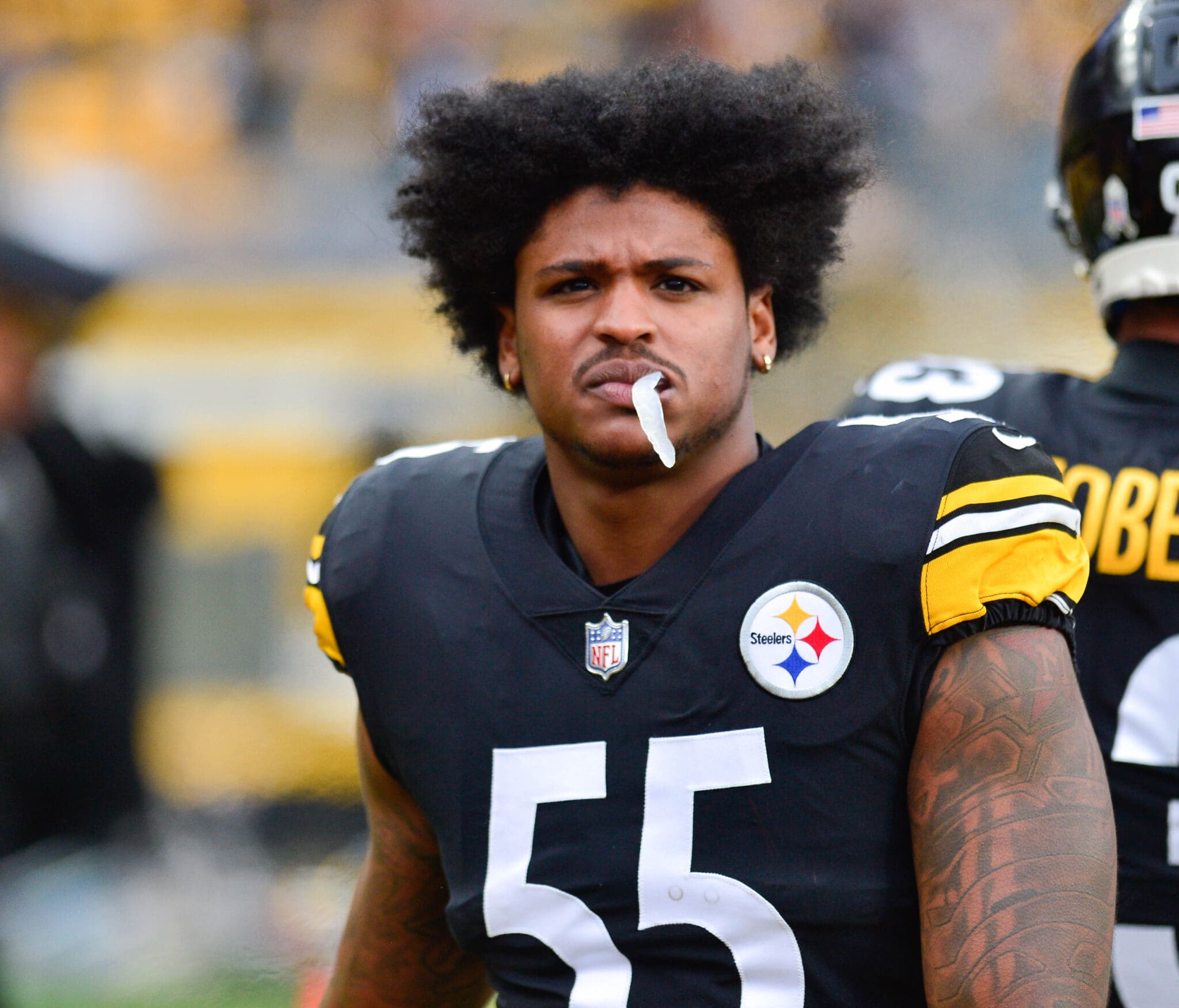 PFF Analyst: Steelers Trade for LB Devin Bush Was 'Impossible to Win' -  Steelers Now
