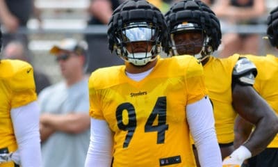 Steelers DL Tyson Alualu