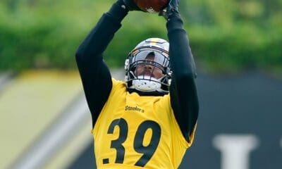 Steelers S Minkah Fitzpatrick