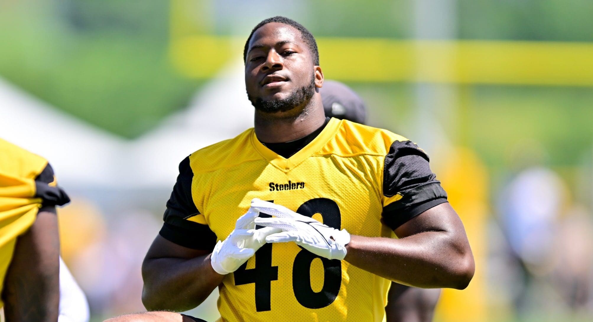 Pittsburgh Steelers OLB Quincy Roche Ravens