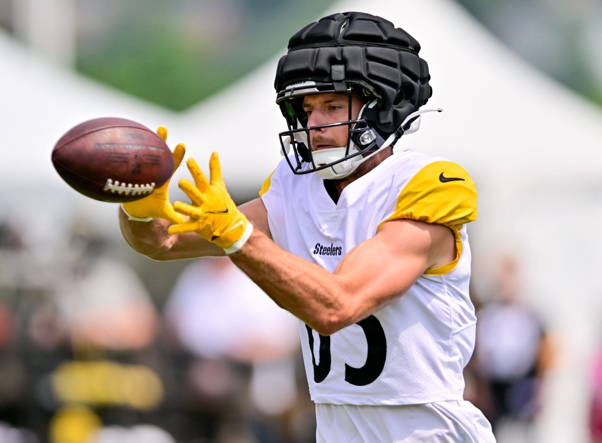 Pittsburgh Steelers wide receiver Dan Chisena (85) lines up during