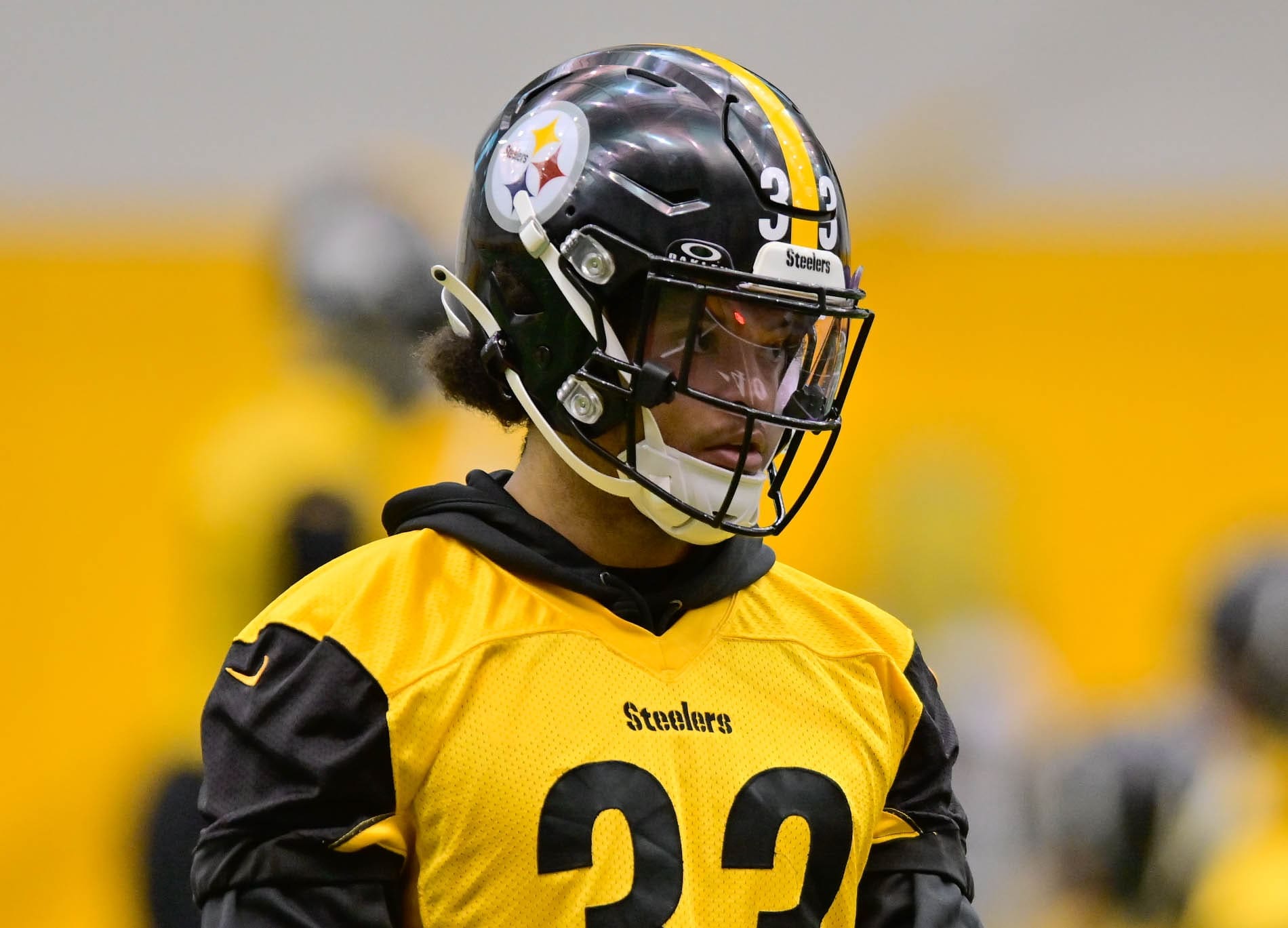 Steelers Waive Promising Safety after Injury