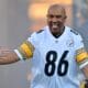 Pittsburgh Steelers Hall of Fame Semifinalist Hines Ward