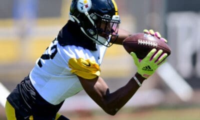 Pittsburgh Steelers WR Dez Fitzpatrick