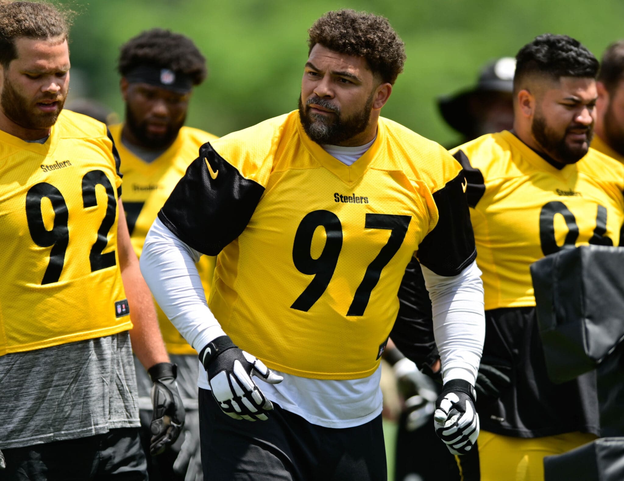 Pittsburgh Steelers DT Cam Heyward