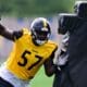 Pittsburgh Steelers DT Montravius Adams