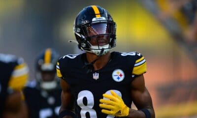 Steelers wide receiver Dez Fitzpatrick