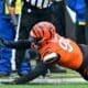 Cincinnati Bengals DE Cam Sample