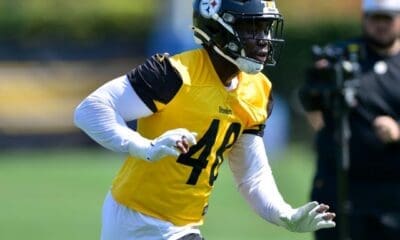 Pittsburgh Steelers OLB Ade Ogundeji