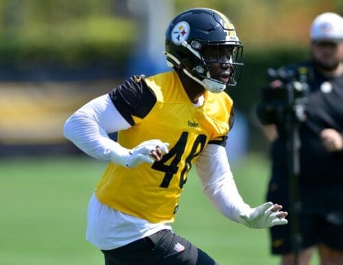 Pittsburgh Steelers OLB Ade Ogundeji