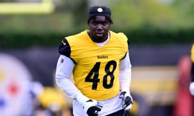 Pittsburgh Steelers OLB Ade Ogundeji