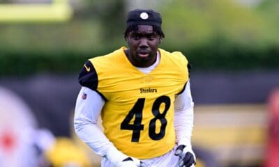 Pittsburgh Steelers OLB Ade Ogundeji