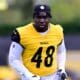 Pittsburgh Steelers OLB Ade Ogundeji