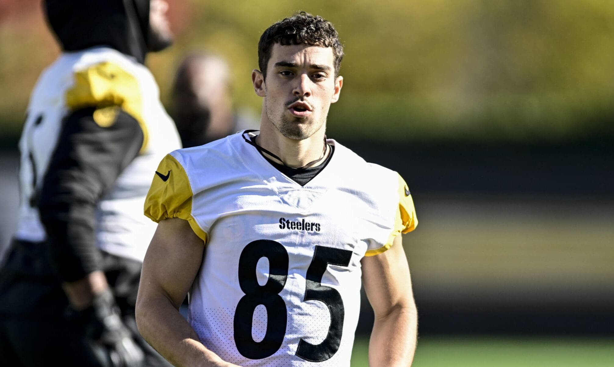 Pittsburgh Steelers WR Andy Isabella