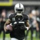 Pittsburgh Steelers Trade Target Las Vegas Raiders WR Davante Adams