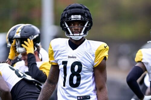 Pittsburgh Steelers WR Mike Williams