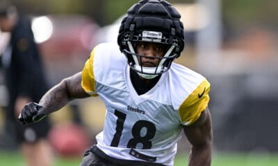 Pittsburgh Steelers WR Mike Williams