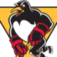 Pittsburgh Penguins, WBS Penguins logo