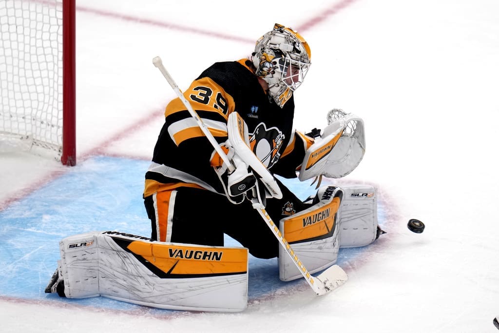 Pittsburgh Penguins, Alex Nedeljkovic