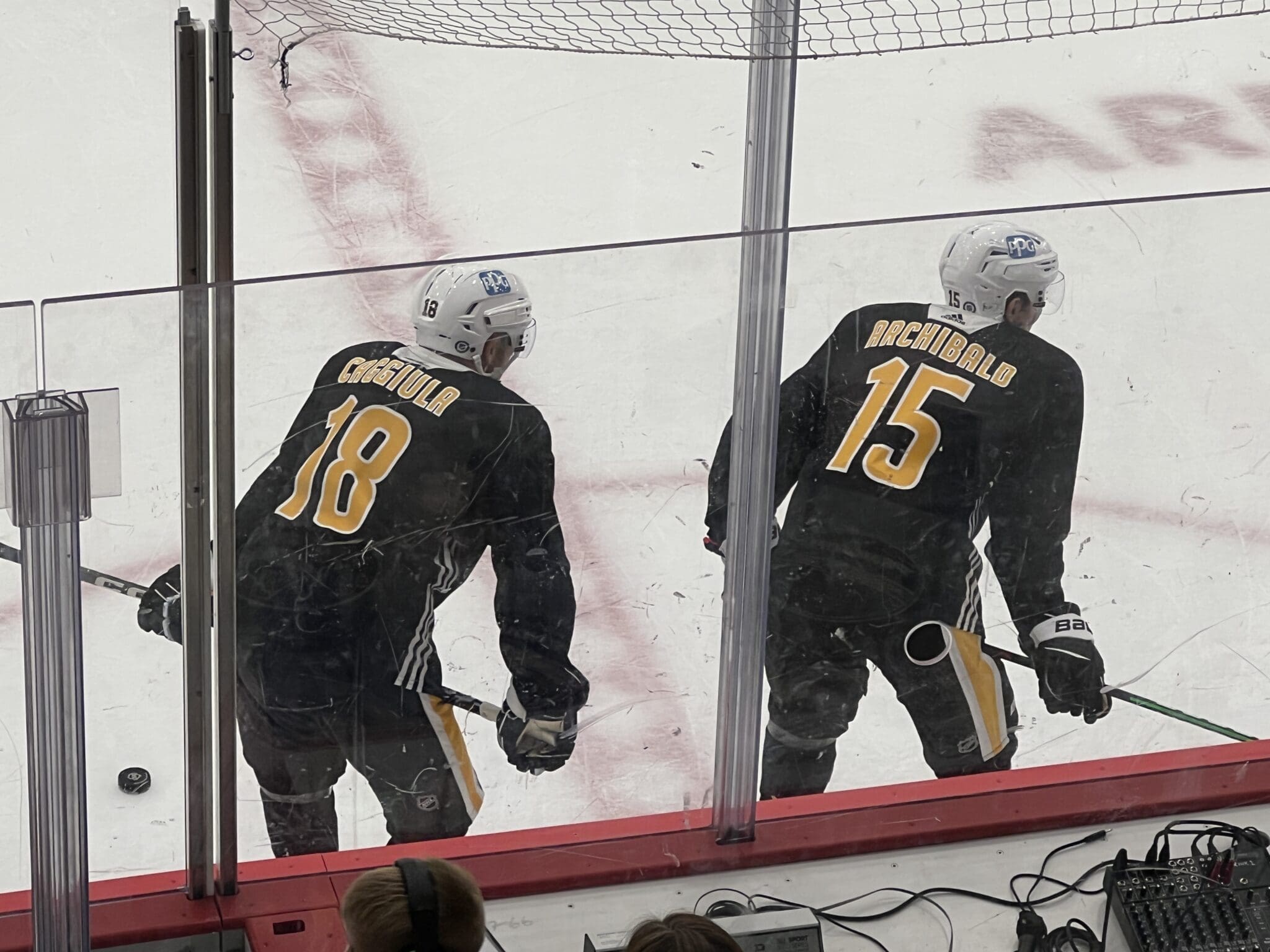 Pittsburgh Penguins, Drake Caggiula, Josh Archibald