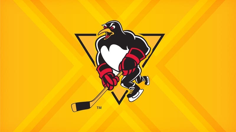 WBS Penguins logo