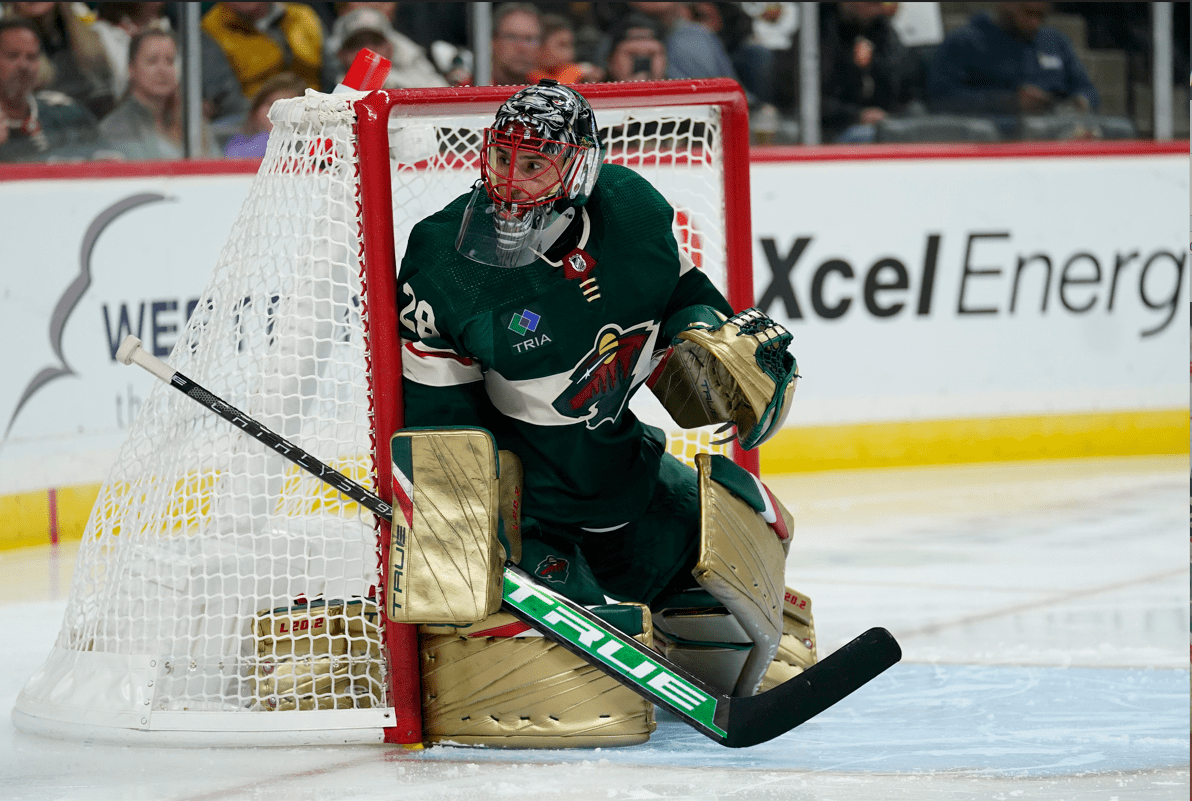 Marc-Andre Fleury nhl avalanche