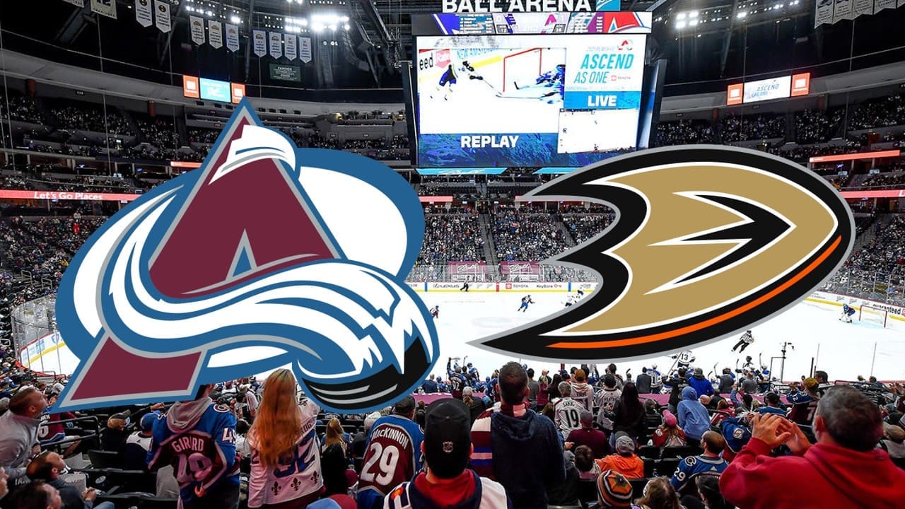 Avalanche Ducks