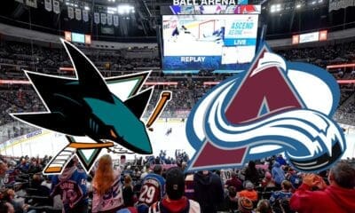 avalanche sharks