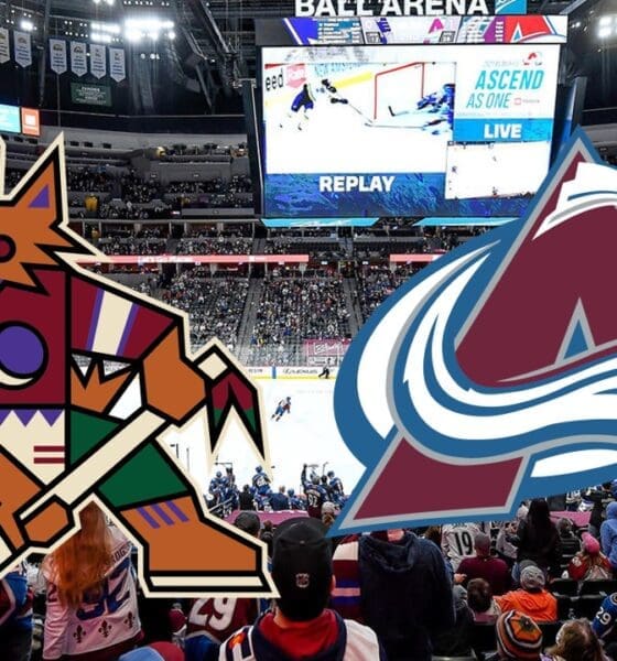 Avalanche lines Coyotes