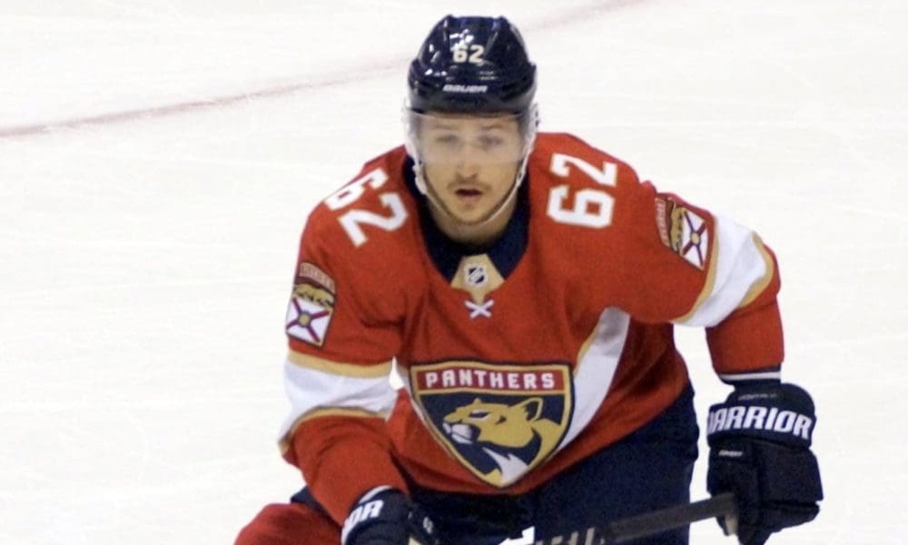 Florida Panthers montour