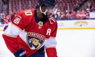 Anthony florida panthers duclair