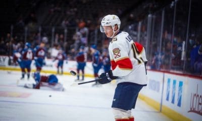 Florida panthers lundell