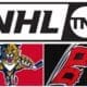 Florida panthers