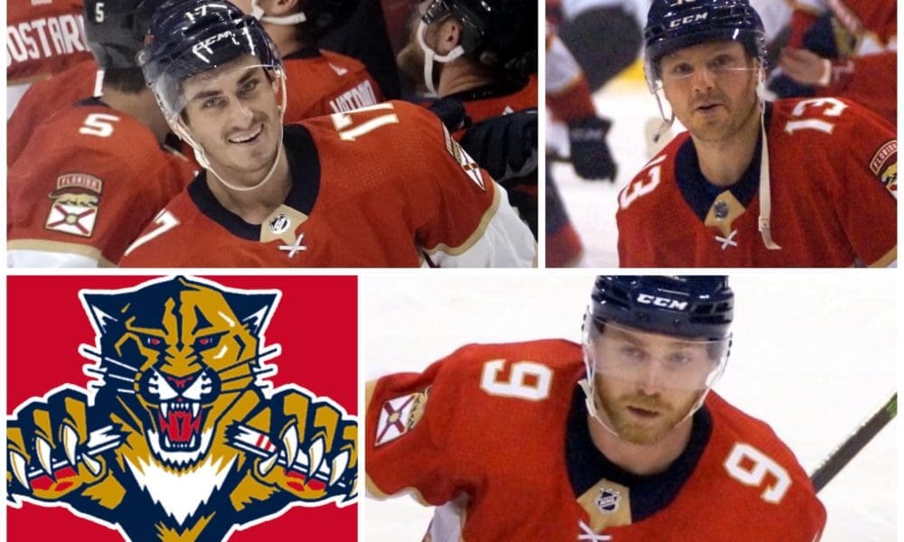 Florida panthers