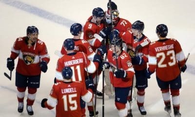 Florida panthers