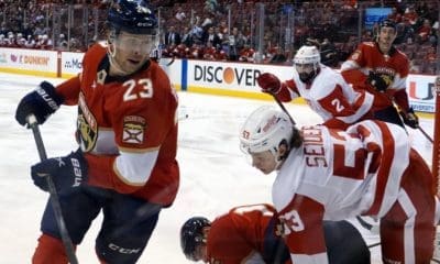 Florida panthers