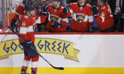 Florida panthers