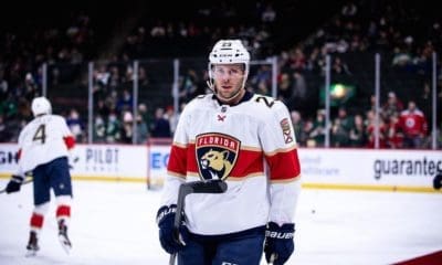 Florida panthers