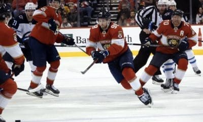 Florida panthers